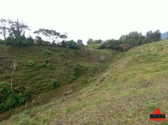 Lote en venta en Centro, Rionegro, 5500 m² · foto 12 de 12