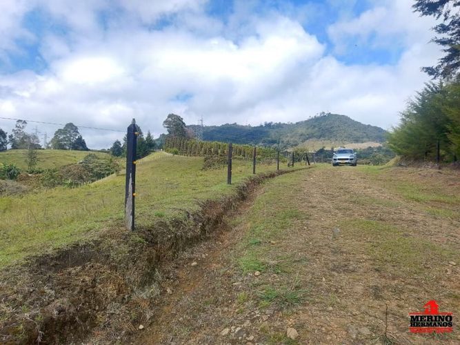 Lote en venta en Centro, Rionegro, 5000 m² · foto 2 de 11