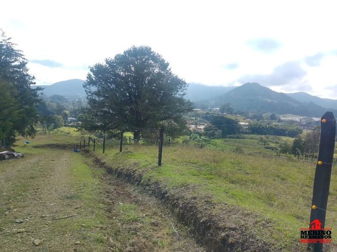 Lote en venta en Centro, Rionegro, 5000 m² · foto 3 de 11