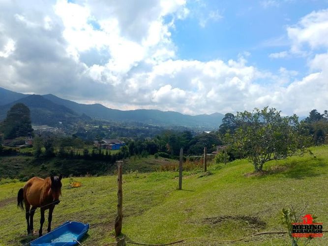 Lote en venta en Centro, Rionegro, 5000 m² · foto 4 de 11
