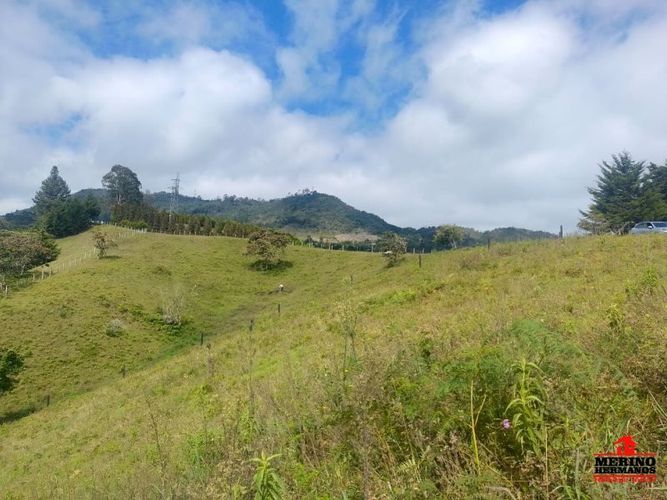 Lote en venta en Centro, Rionegro, 5000 m² · foto 6 de 11