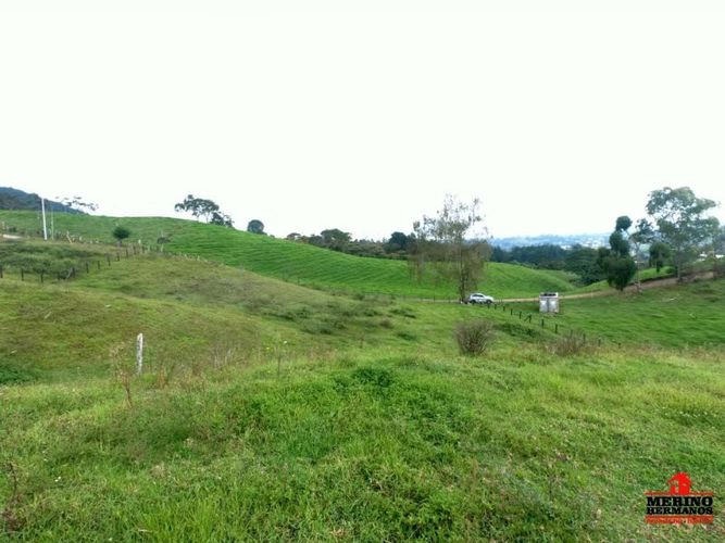 Lote en venta en Centro, Rionegro, 5000 m² · foto 10 de 11