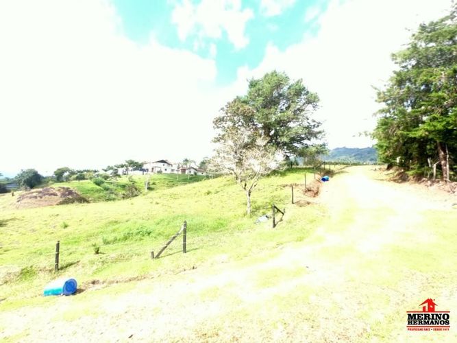 Lote en venta en Centro, Rionegro, 5000 m² · foto 11 de 11