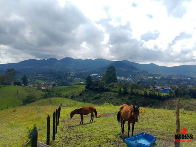 Lote en venta en Centro, Rionegro, 7989 m² · foto 4 de 12