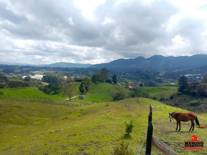 Lote en venta en Centro, Rionegro, 7145 m² · foto 2 de 12