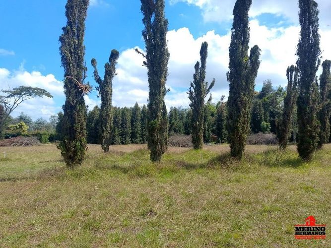 Lote en venta en Centro, Rionegro, 10500 m² · foto 2 de 14