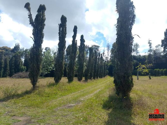 Lote en venta en Centro, Rionegro, 10500 m² · foto 3 de 14