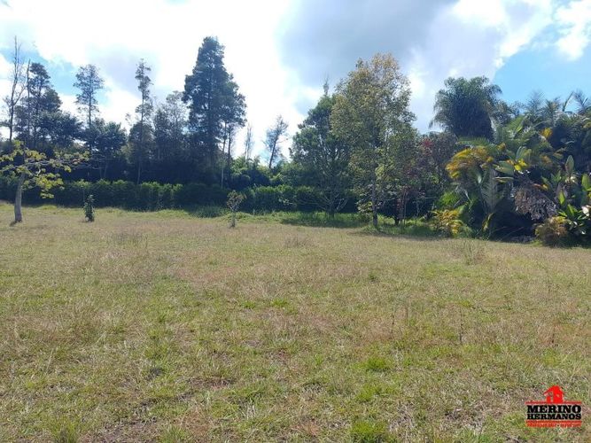 Lote en venta en Centro, Rionegro, 10500 m² · foto 5 de 14
