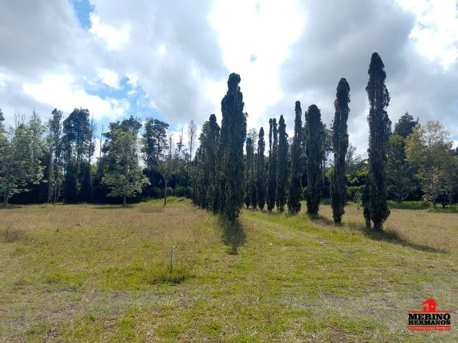 Lote en venta en Centro, Rionegro, 10500 m² · foto 6 de 14
