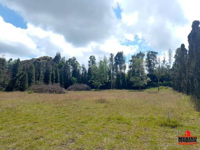Lote en venta en Centro, Rionegro, 10500 m² · foto 7 de 14