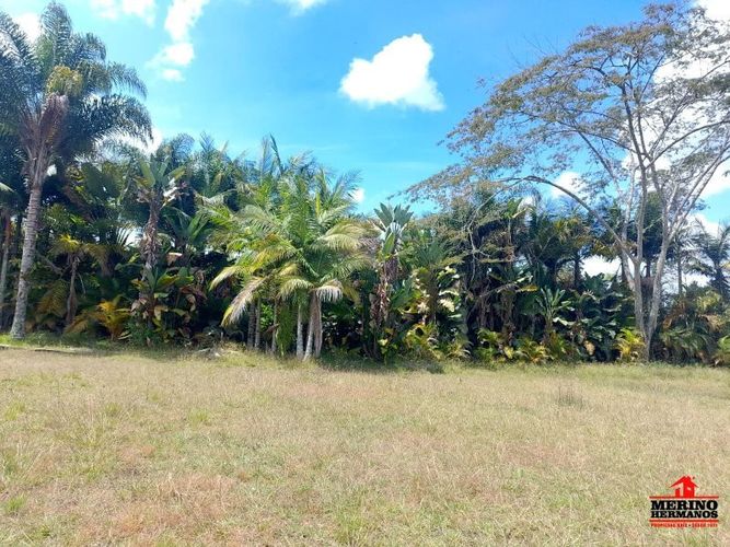 Lote en venta en Centro, Rionegro, 10500 m² · foto 8 de 14