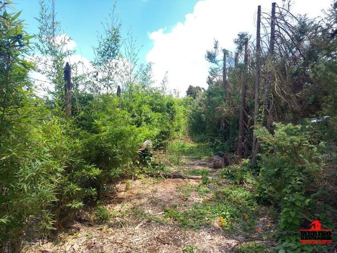 Lote en venta en Centro, Rionegro, 10500 m² · foto 9 de 14