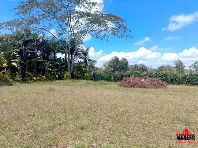 Lote en venta en Centro, Rionegro, 10500 m² · foto 10 de 14