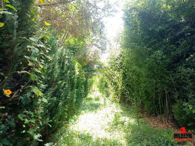 Lote en venta en Centro, Rionegro, 10500 m² · foto 11 de 14