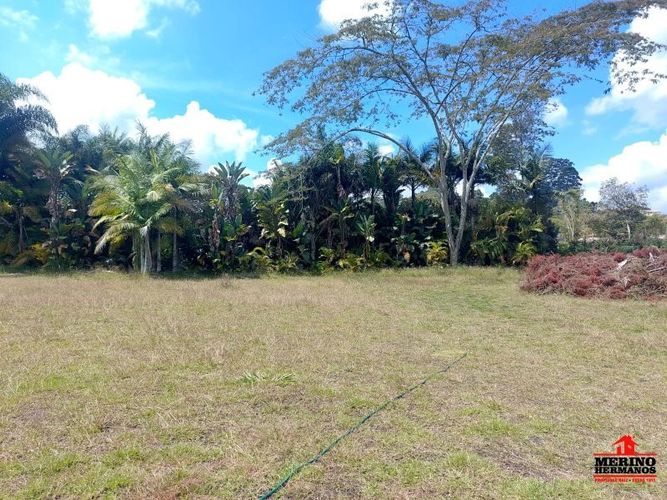 Lote en venta en Centro, Rionegro, 10500 m² · foto 13 de 14