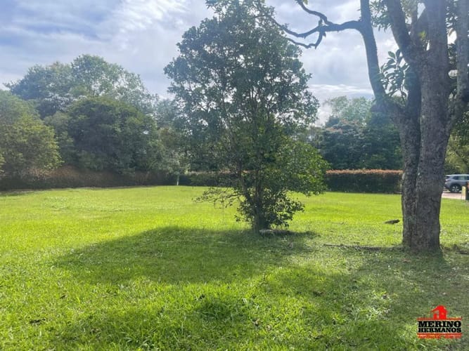 Lote en venta en Centro, Rionegro, 2456 m² · foto 6 de 17