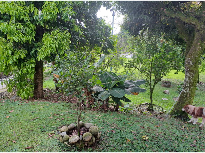 Lote en venta en La Riverita, Cali, 126 m² · foto 14 de 24