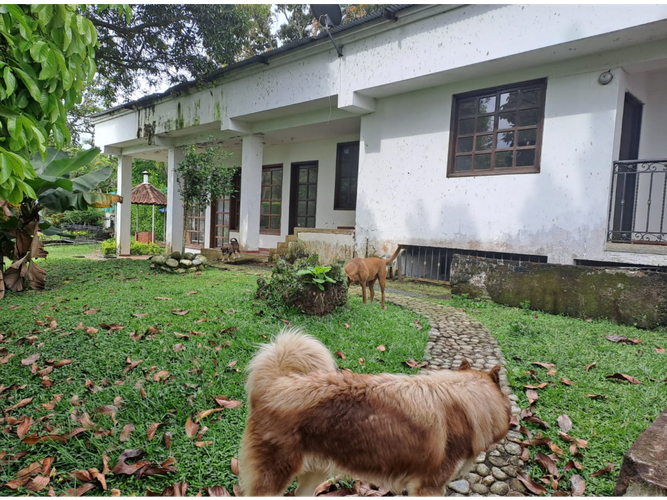 Lote en venta en La Riverita, Cali, 126 m² · foto 15 de 24