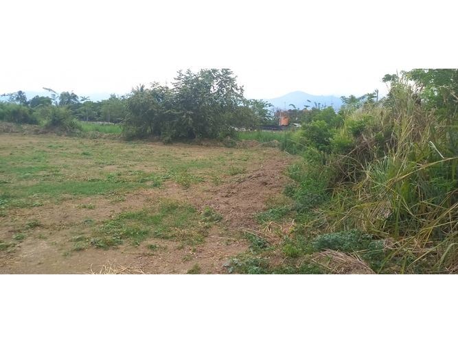 Lote en venta en Cencar- Yumbo, Yumbo, 7000 m² · foto 3 de 5