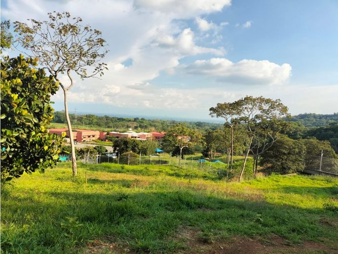 Lote en venta en Pance, Cali, 1560 m² · foto 2 de 4