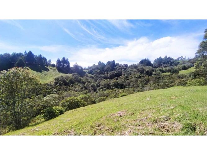 Lote en venta en Las Palmas, Envigado · foto 5 de 6
