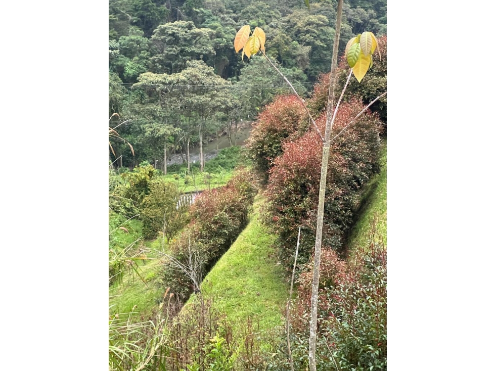 Casa en venta en Las Palmas, Envigado · foto 4 de 24