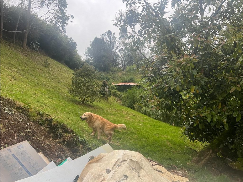 Casa en venta en Las Palmas, Envigado · foto 12 de 24