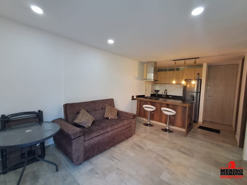 1BR Apartment in Centro (60 m²) - 4