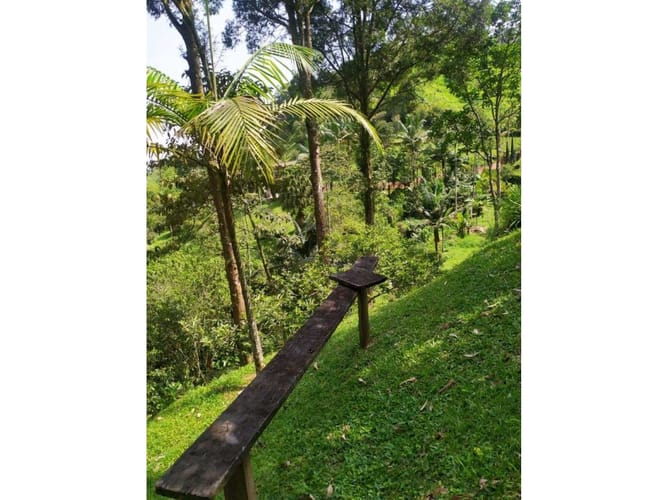 Finca en venta en La Doctora, Sabaneta, 400 m² · foto 21 de 22