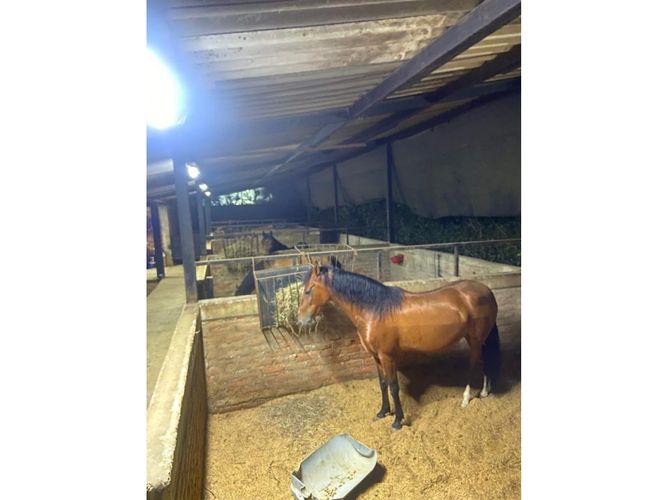 Finca en venta en Potrerito, Jamundí, 350 m² · foto 19 de 21