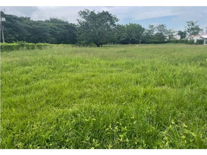 Lote en venta en La Morada, Jamundí, 1205 m² · foto 3 de 3