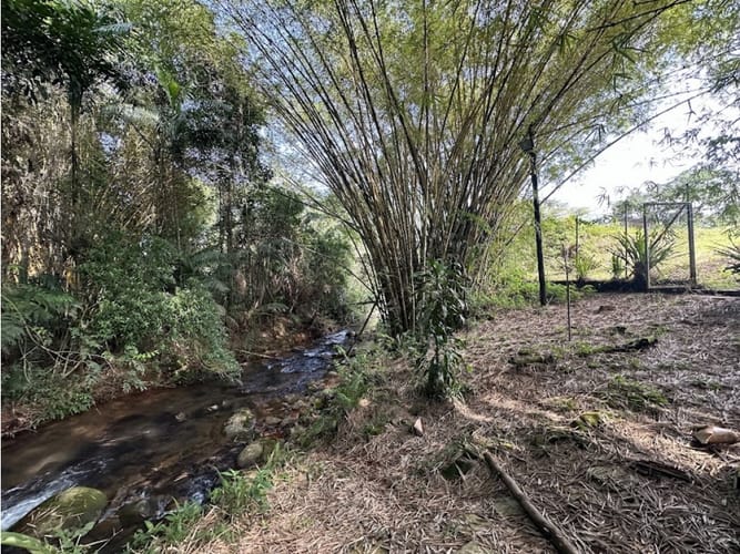 Lote en venta en Pance, Cali, 1730 m² · foto 4 de 24