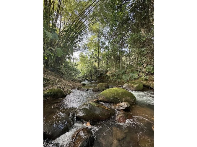 Lote en venta en Pance, Cali, 1730 m² · foto 11 de 24
