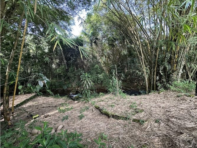 Lote en venta en Pance, Cali, 1730 m² · foto 14 de 24