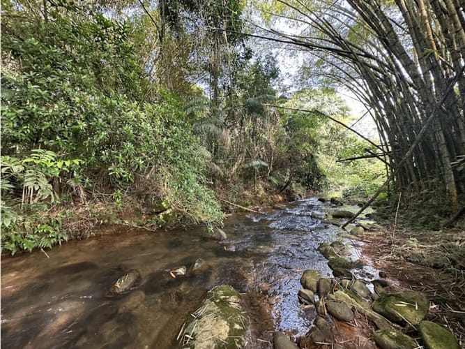 Lote en venta en Pance, Cali, 1730 m² · foto 15 de 24
