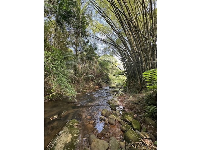 Lote en venta en Pance, Cali, 1730 m² · foto 16 de 24