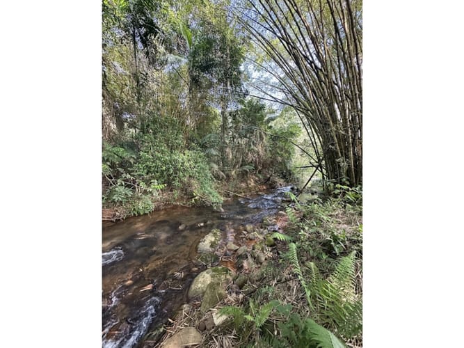 Lote en venta en Pance, Cali, 1730 m² · foto 17 de 24