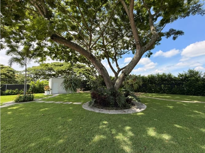 Casa de 4 alcobas en venta en Rozo, Palmira, 700 m² · foto 12 de 24