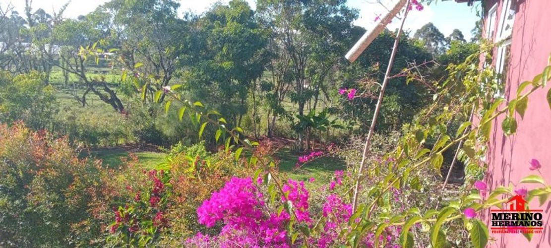 Casa de 8 alcobas en venta en Centro, Rionegro, 380 m² · foto 17 de 24