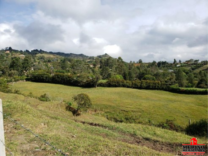 Lote en venta en Centro, Rionegro, 11700 m² · foto 3 de 4