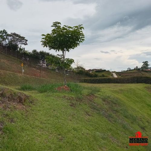 Lote en venta en San Antonio De Pereira, Rionegro, 2582 m² · foto 5 de 22