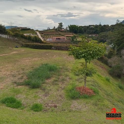 Lote en venta en San Antonio De Pereira, Rionegro, 2582 m² · foto 7 de 22