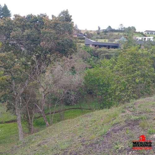 Lote en venta en San Antonio De Pereira, Rionegro, 2582 m² · foto 12 de 22
