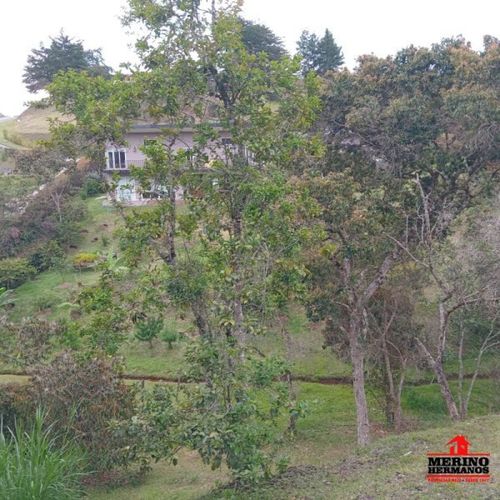 Lote en venta en San Antonio De Pereira, Rionegro, 2582 m² · foto 15 de 22