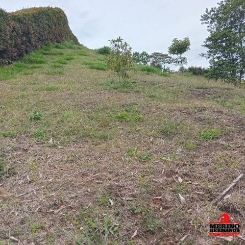 Lote en venta en San Antonio De Pereira, Rionegro, 2582 m² · foto 20 de 22