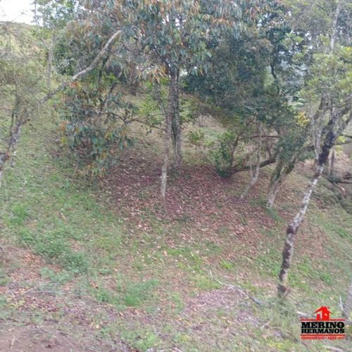 Lote en venta en San Antonio De Pereira, Rionegro, 2582 m² · foto 21 de 22