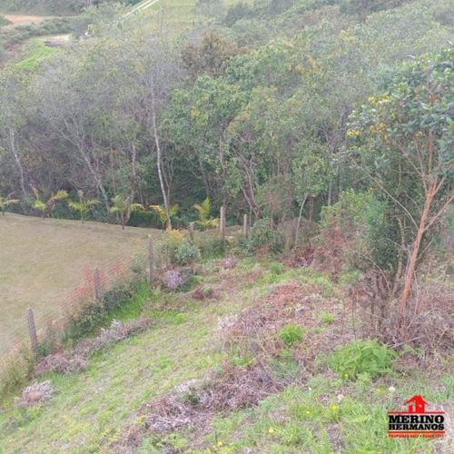 Lote en venta en La Clara, Guarne, 2313 m² · foto 4 de 24