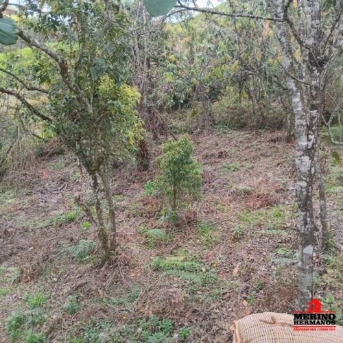 Lote en venta en La Clara, Guarne, 2313 m² · foto 9 de 24