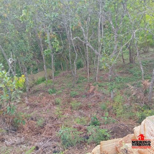 Lote en venta en La Clara, Guarne, 2313 m² · foto 11 de 24