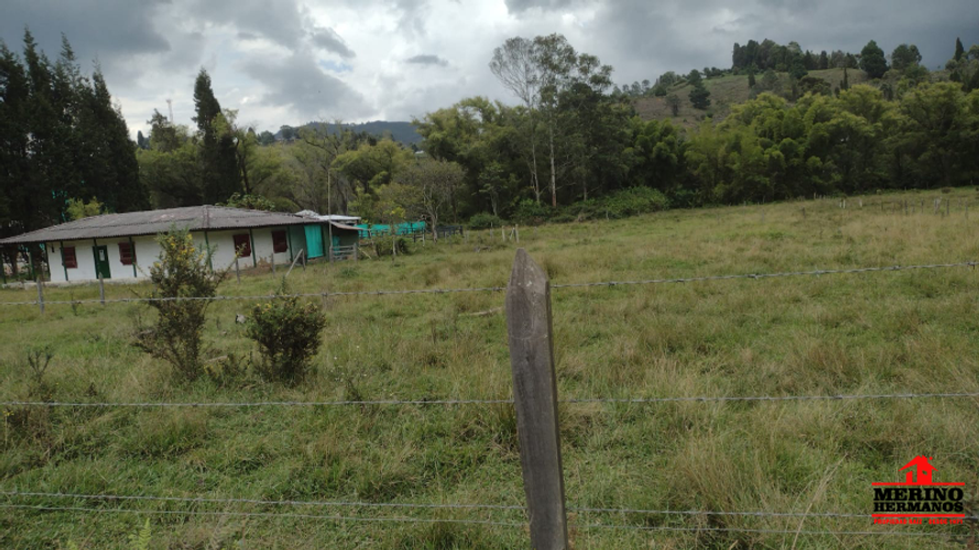 Lote en venta en San Jose, Guarne, 17612 m² · foto 2 de 14